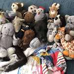 image for Alli's been running a no-kill stuffed animal shelter for the past 10 years