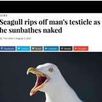 image for roses are red,our love is sacred