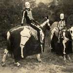 image for Some spooky skeletons riding horses for Halloween in the 1920s