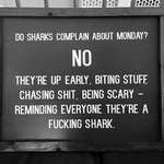 image for [Text] Happy Monday Reddit! Be a shark today!