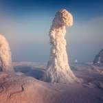 image for Finnish Lapland trees covered in snow