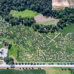image for A farm in my hometown plows a new corn maze every fall, this year the theme was Star Wars