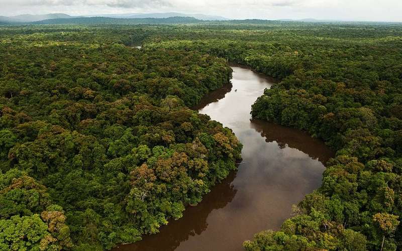 image for The Largest Ever Tropical Reforestation Is Planting 73 Million Trees