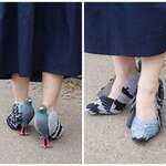 image for Pigeon heels