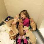 image for My daughter volunteering at our local shelter, helping feed the puppies. She was taken down and overpowered by adorableness.
