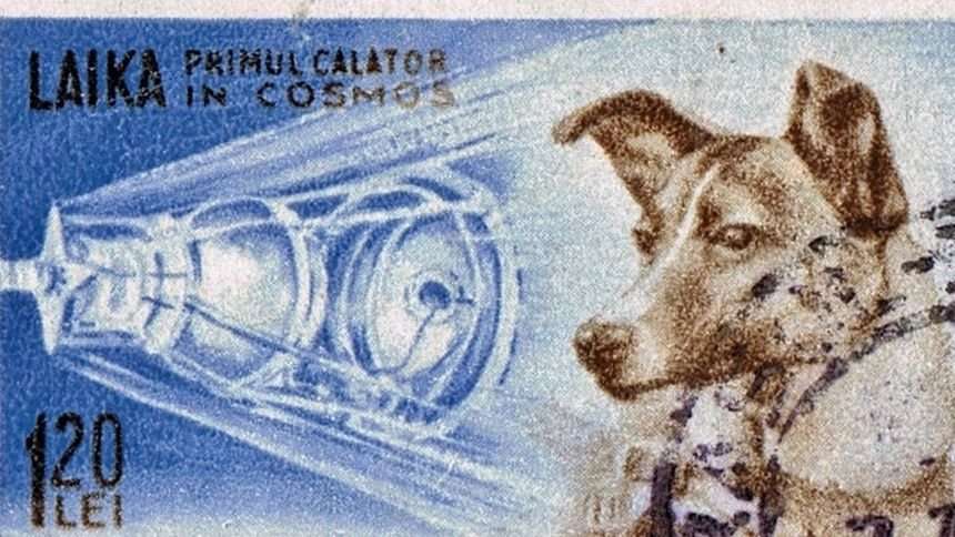 image for How Laika, a stray dog, became the world's first cosmonaut, 60 years ago today — Quartz