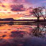 image for One of the craziest sunrise's I've seen - Wanaka, New Zealand [OC] (5760 × 3240)