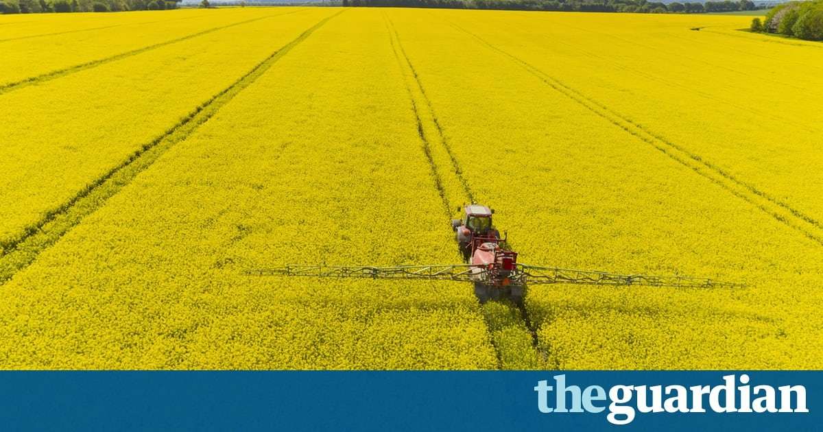 image for UK will back total ban on bee-harming pesticides, Michael Gove reveals