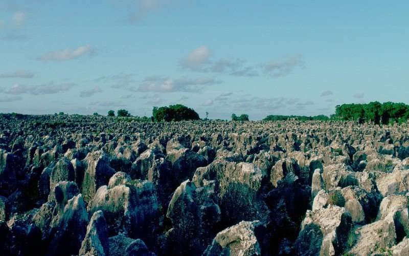 image for Welcome To Nauru, The Most Corrupt Country You’ve Never Heard Of