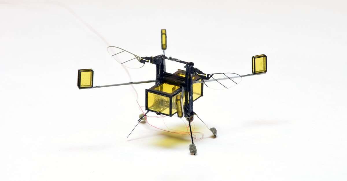image for Robot bees can now dive in and out of water using tiny combustible rockets