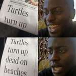 image for I'm turtley shell shocked