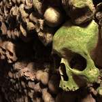 image for A skull that caught my attention in the Paris catacombs