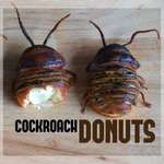 image for Cockroach donuts for some reason