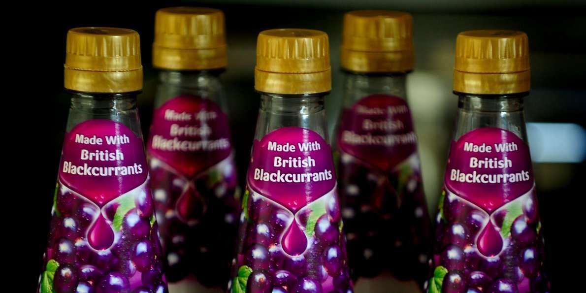 image for There's an intriguing reason why 99.9% of Americans have never tasted blackcurrant but Europeans love it
