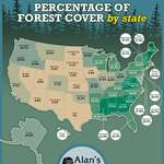 image for The percentage of forest coverage in each US state