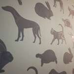 image for The wallpaper at the vet's has animal silhouettes with shiny skeletons in them