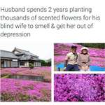 image for Husband plants 1000s of scented flowers for his blind wife