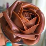 image for A stunning chocolate rose (599x602)