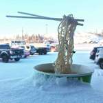 image for Pic of ramen noodles at -30: Yellowknife, Northwest Territories