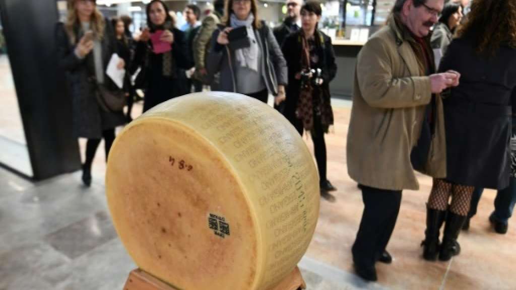 image for Italy's top cheeses 'products of cruelty': campaign