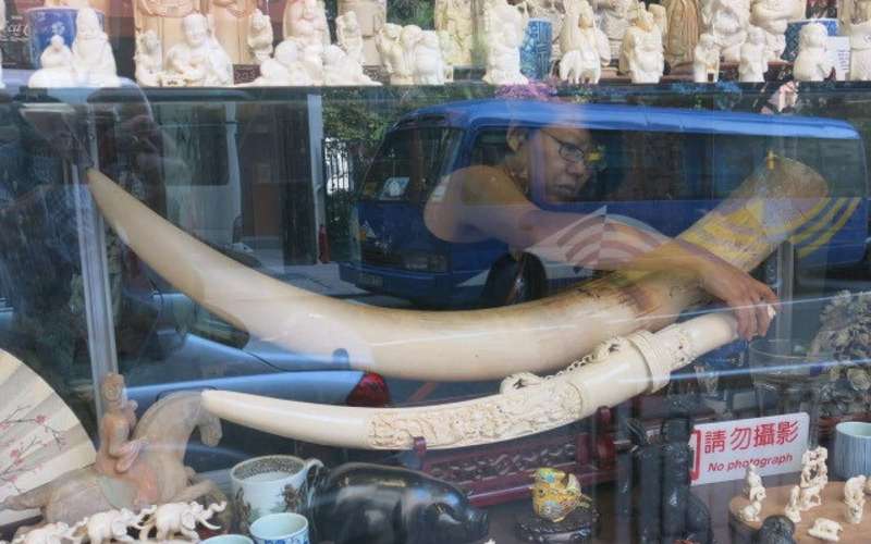 image for China’s vow to shut down its ivory trade by the end of 2017 is a ‘game changer’ for elephants