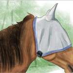 image for How to make your horse racist