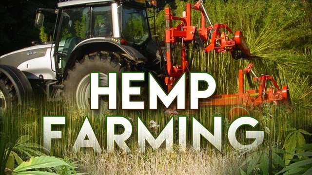 image for Walker signs bill legalizing hemp farming in Wisconsin