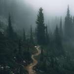 image for Hiking through the mist. Mt. Rainier National Park [OC] (3648x4560)