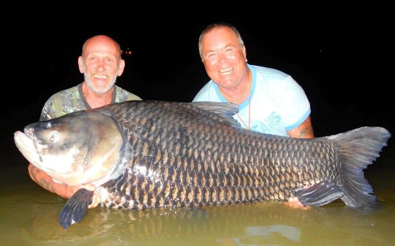image for Anglers use ashes of friend as bait to reel in monster 180lbs carp in his honour