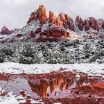 image for Reflections in snowy Sedona, Arizona [OC] [3500 x 2333]