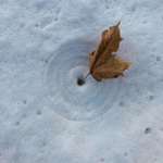 image for This leaf created concentric circles as it blew in the wind.