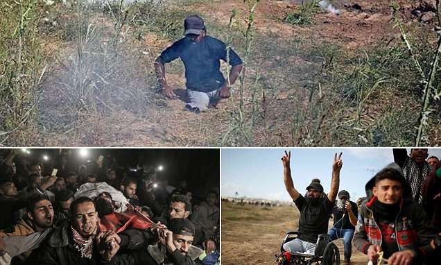 image for Protester in a wheelchair is shot dead by Israeli troops