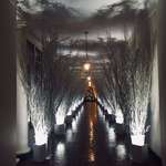 image for Foreboding Christmas decorations at the White House this year