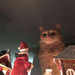 image for PsBattle: Cat looking over Christmas scene