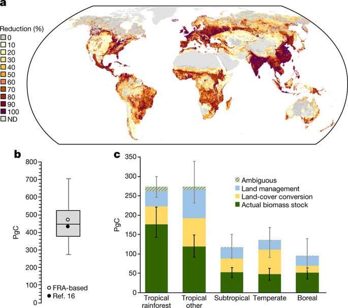 image for Unexpectedly large impact of forest management and grazing on global vegetation biomass