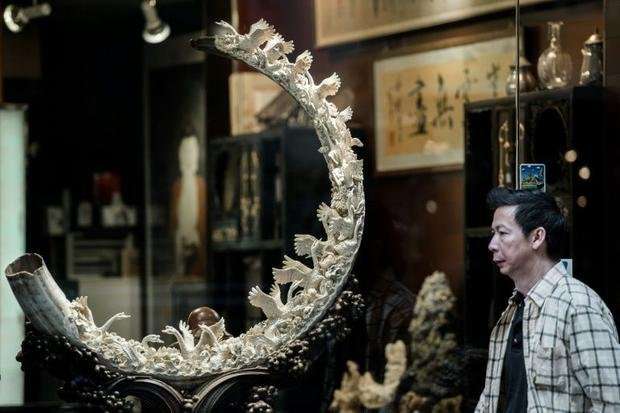 image for China's ban on elephant ivory sales goes into effect Sunday