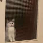 image for A rare picture of an 8-bit cat from the 90s