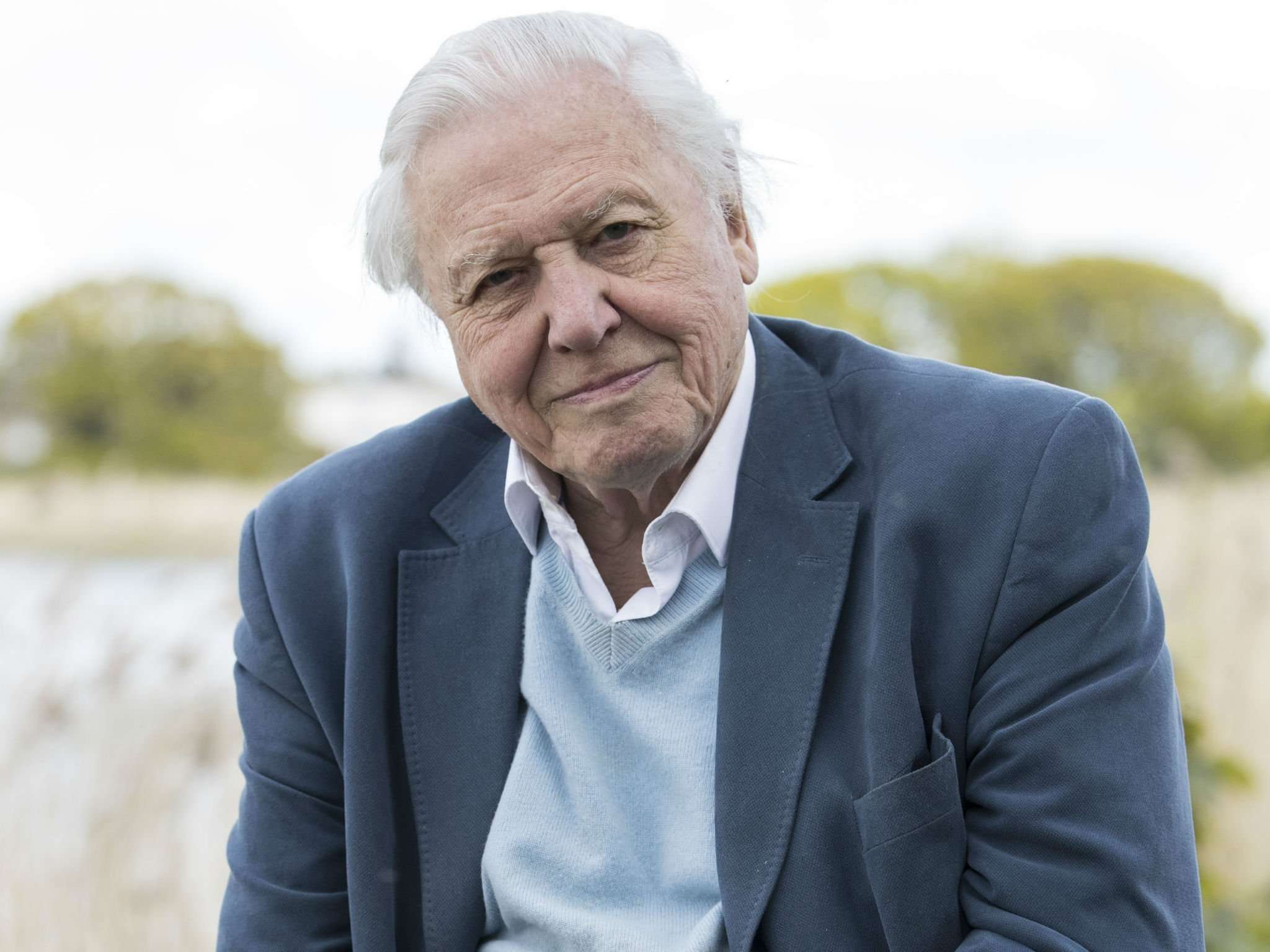 image for Sir David Attenborough criticises Bear Grylls for killing animals 'just to get a shot'