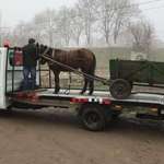 image for Towing an illegally parked cart in Moldova.