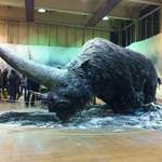 image for Meet the Elasmotherium, a big hairy unicorn that existed as early as 29,000 years ago