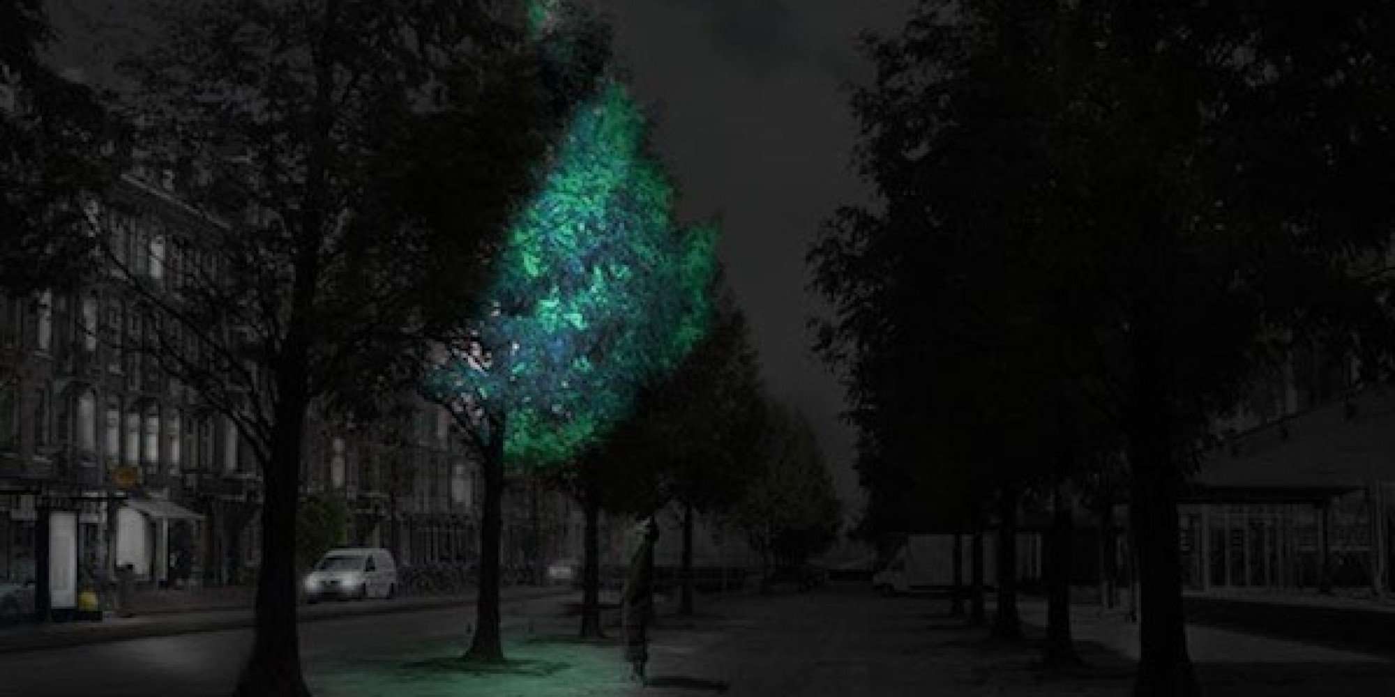 image for In The Not So Distant Future, Glow-In-The-Dark Trees Could Replace Street Lights