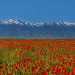 image for Tien Shan Mountains, Kazakhstan [OC][OS][3777x3777]
