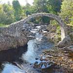 image for This bridge turned 300 years old in 2017! No wonder the village of Carrbridge, Scotland is named after it.