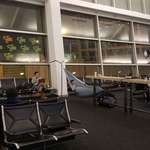 image for This genius using a hammock during a layover