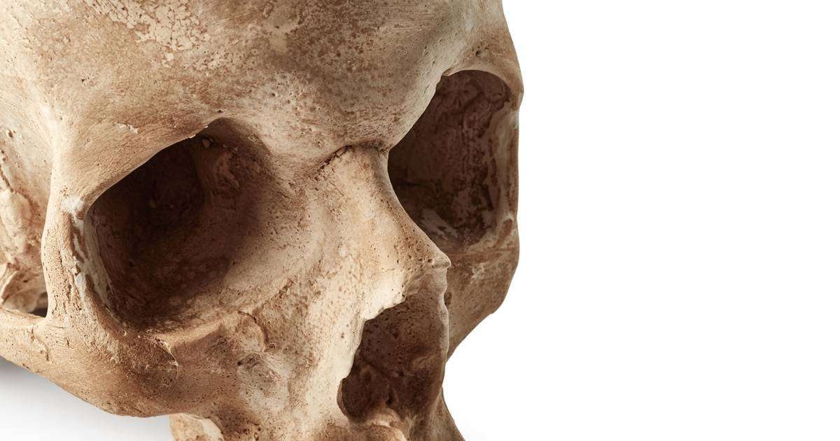 image for Scientists just uncovered the cause of a massive epidemic using 500-year-old teeth