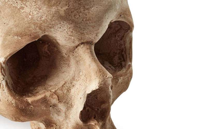 image for Scientists just uncovered the cause of a massive epidemic using 500-year-old teeth