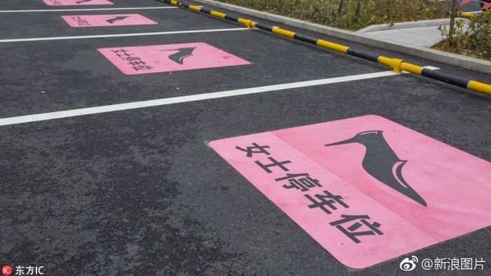 image for China's pink, oversized women-only car parks slammed as sexist