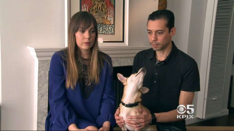 image for S.F. Couple Recounts Harrowing, Mistaken Arrest by Police Investigating iPhone Heist