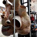 image for Perfectly preserved blue whale heart is 🔥 af