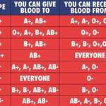 image for Blood Types